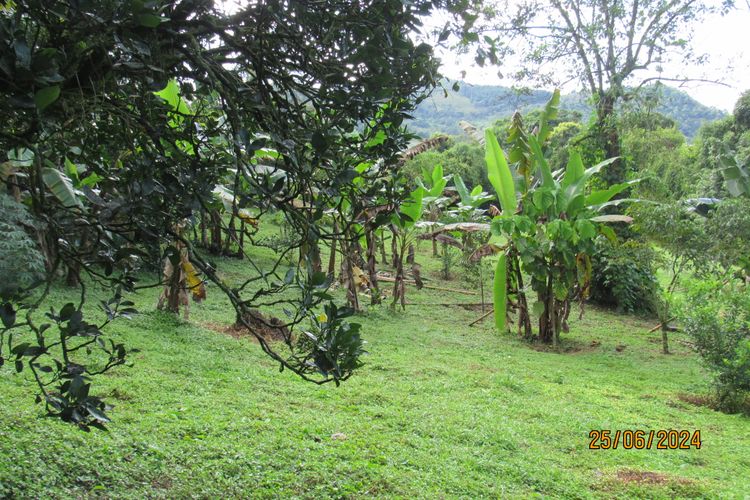 Finca en  Venta en La vega - Miniatura 20