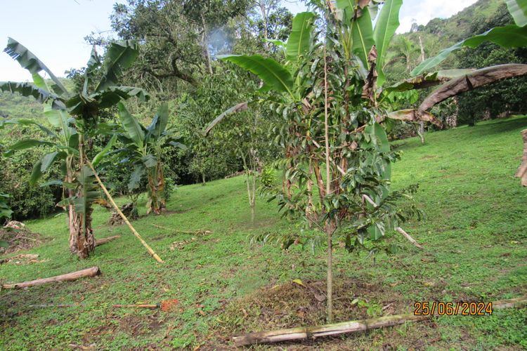 Finca en  Venta en La vega - Miniatura 21
