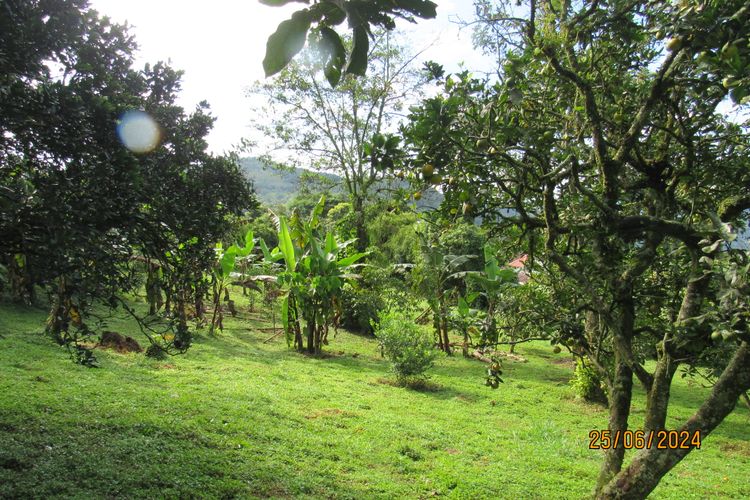 Finca en  Venta en La vega - Miniatura 23
