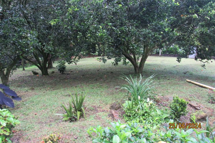 Finca en  Venta en La vega - Miniatura 25