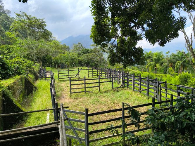 Finca en  Venta en Amagá - Miniatura 15