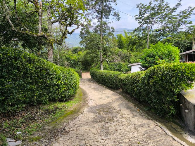 Finca en  Venta en Amagá - Miniatura 17