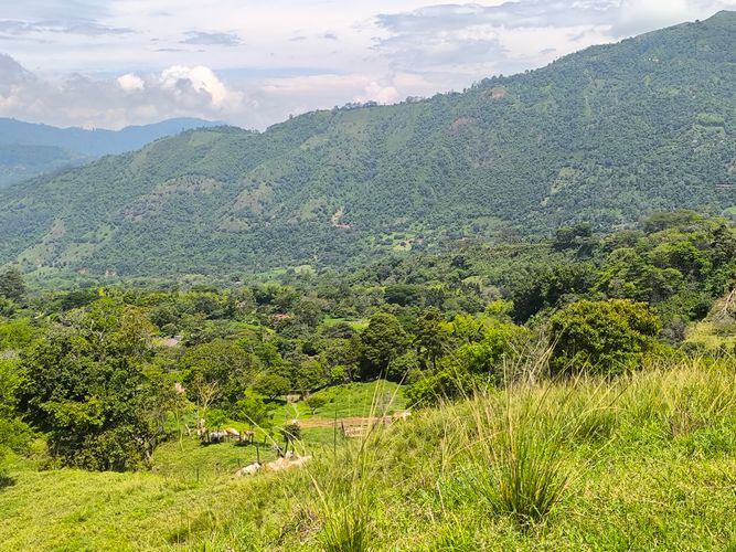 Finca en  Venta en Amagá - Miniatura 19