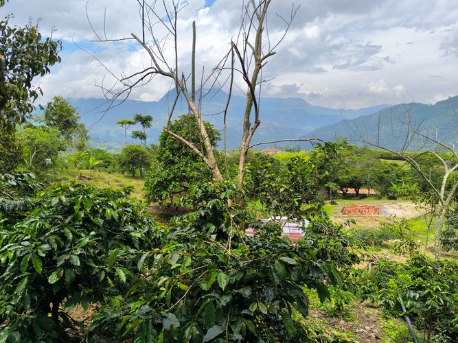 Finca en  Venta en Amagá - Miniatura 20