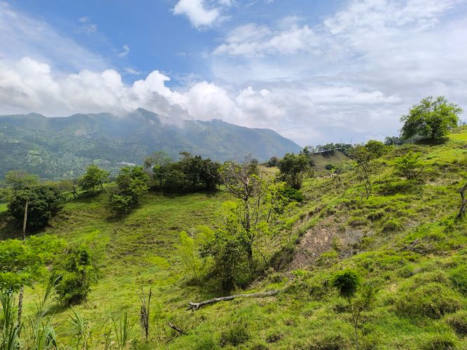 Finca en  Venta en Amagá - Miniatura 22