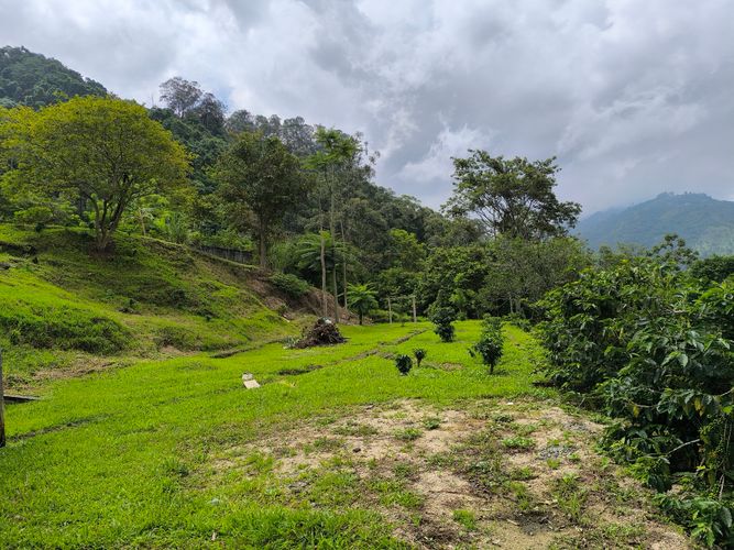 Finca en  Venta en Amagá - Miniatura 23