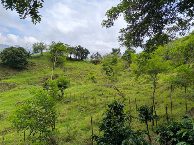 Finca en  Venta en Amagá - Miniatura 24