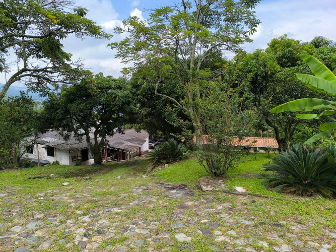 Finca en  Venta en Amagá - Miniatura 28