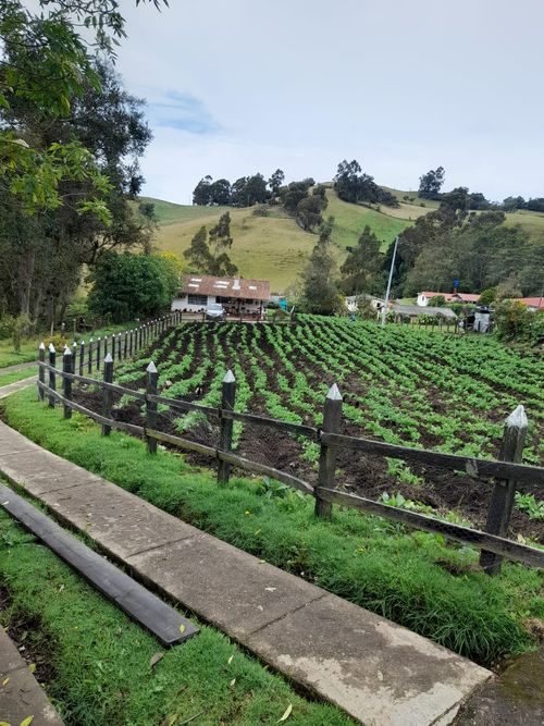 Finca en  Venta en Subachoque - Miniatura 2