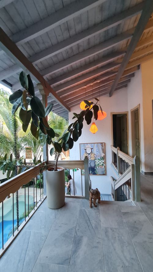 Finca en  Venta en Cauca, Jericó - Miniatura 8