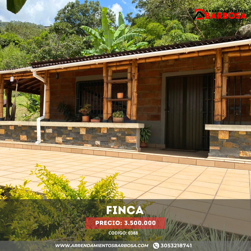 Finca en arriendo en La playa, Barbosa - Miniatura 7