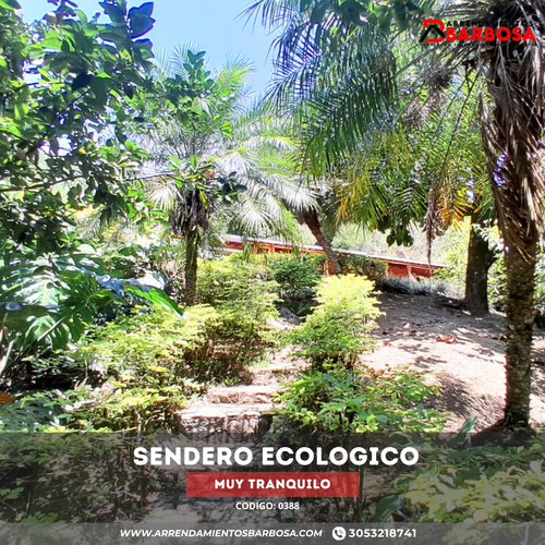 Finca en arriendo en La playa, Barbosa - Miniatura 10