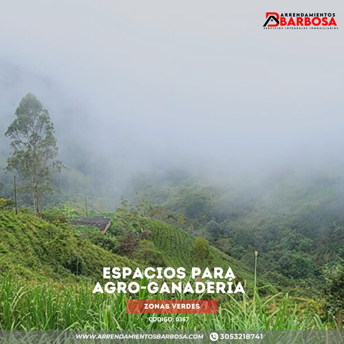 Finca en arriendo en La cejita, Concepcion - Miniatura 5