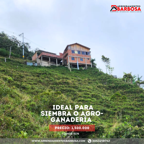 Finca en arriendo en La cejita, Concepcion - Miniatura 9