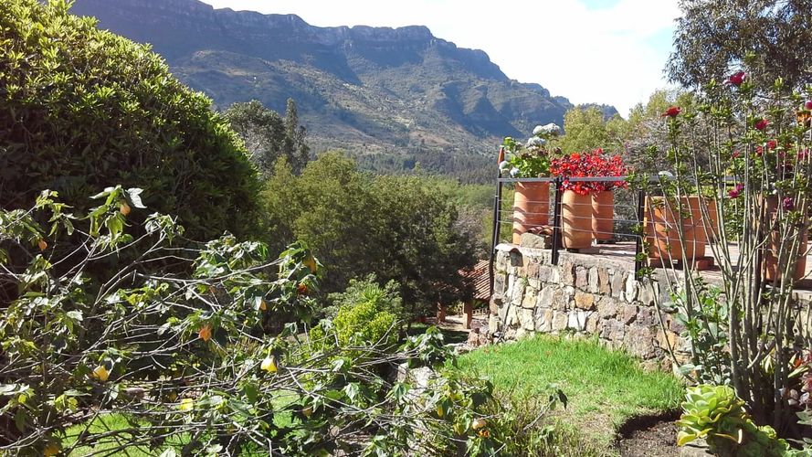 Finca en  Venta en Sutatausa - Miniatura 9