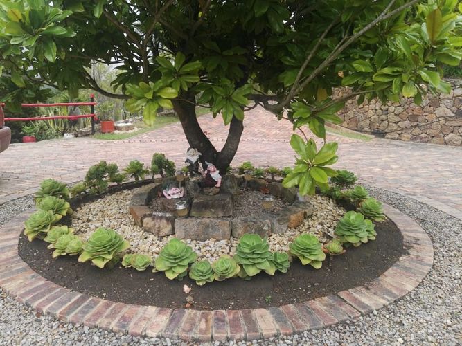 Finca en  Venta en Sutatausa - Miniatura 12