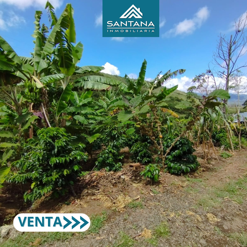Finca en  Venta en Chachagui - Miniatura 2