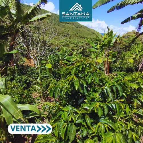 Finca en  Venta en Chachagui - Miniatura 3