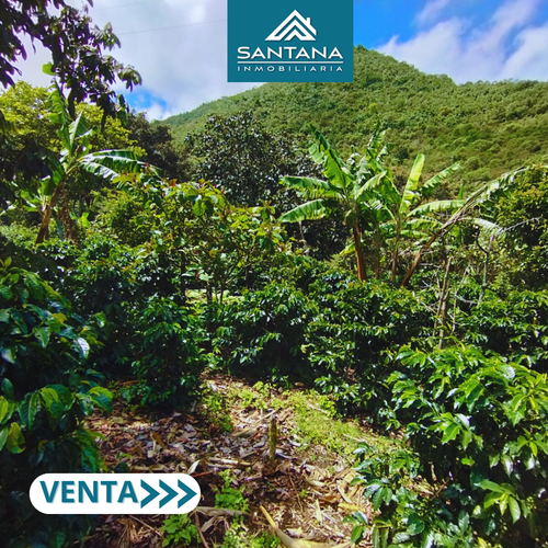 Finca en  Venta en Chachagui - Miniatura 4