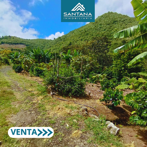 Finca en  Venta en Chachagui - Miniatura 5