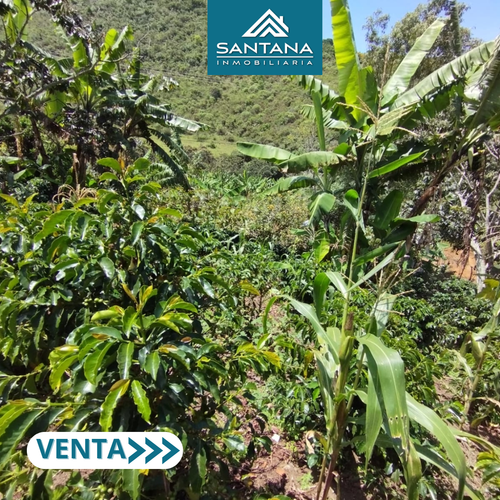Finca en  Venta en Chachagui - Miniatura 7