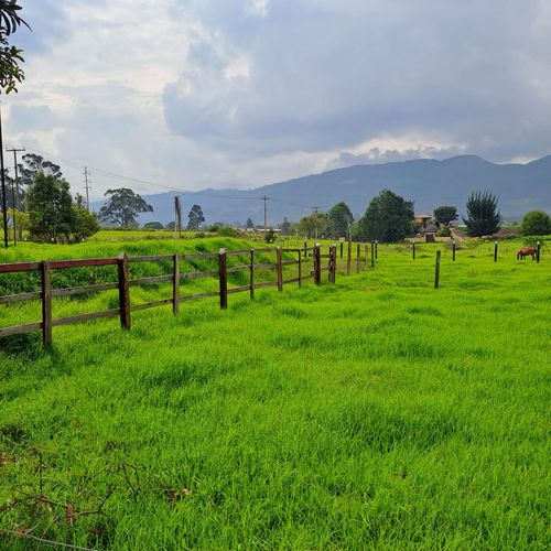 Finca en  Venta en Tenjo - Miniatura 15