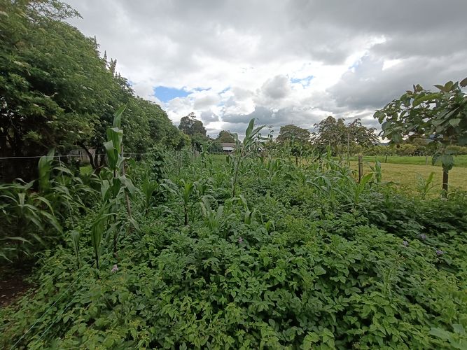 Finca en  Venta en Tenjo - Miniatura 21