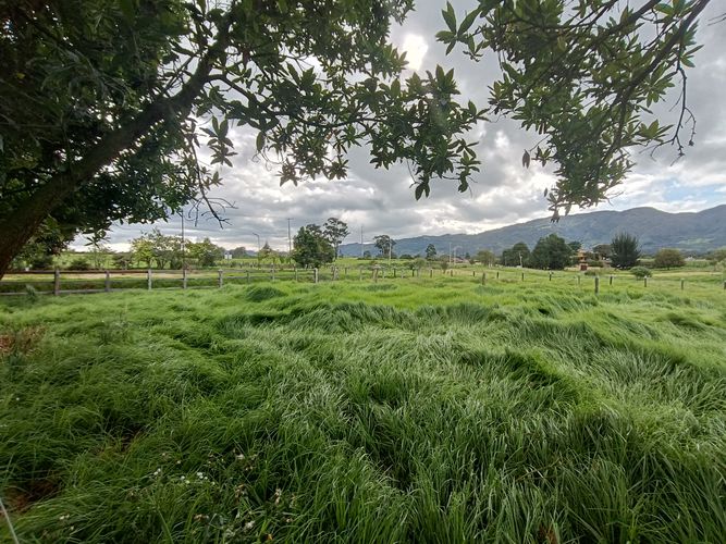 Finca en  Venta en Tenjo - Miniatura 24