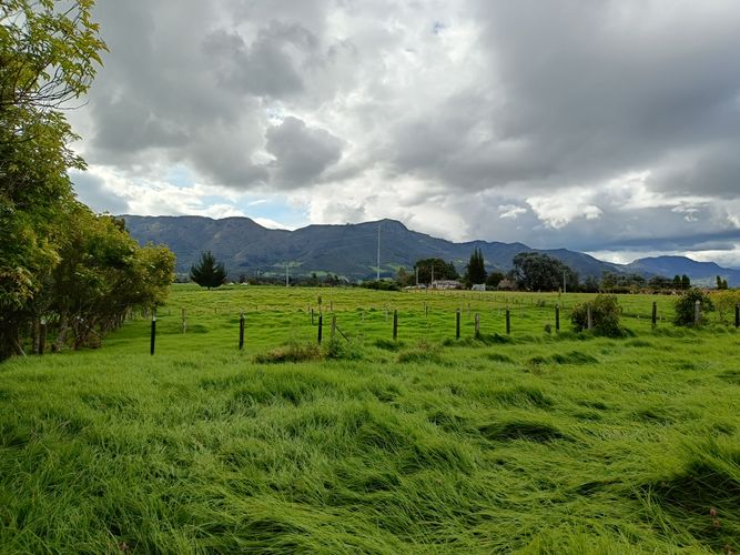 Finca en  Venta en Tenjo - Miniatura 25