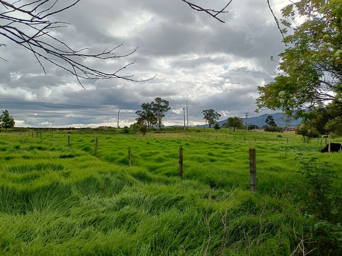 Finca en  Venta en Tenjo - Miniatura 26