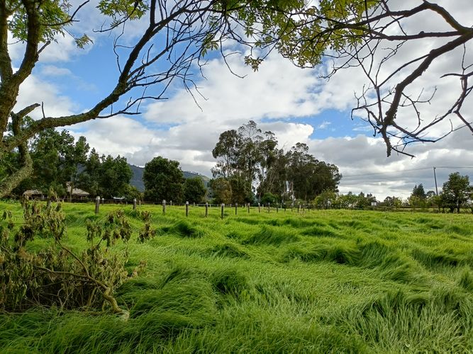 Finca en  Venta en Tenjo - Miniatura 27