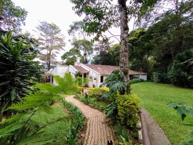 Finca en  Venta en Dapa - Miniatura 2