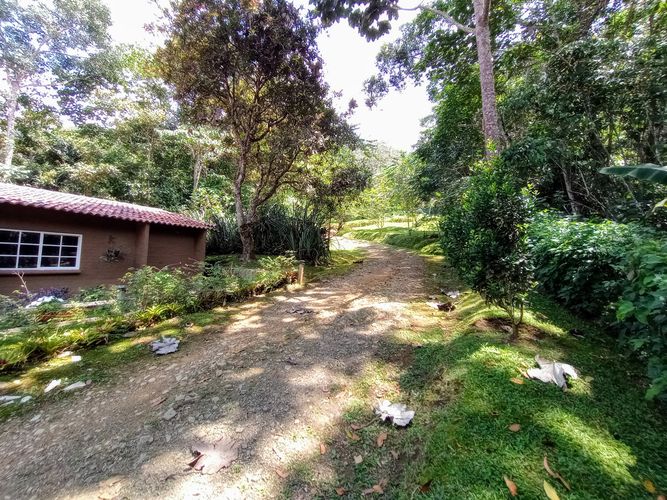 Finca en  Venta en Dapa - Miniatura 4