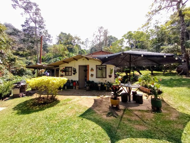 Finca en  Venta en Dapa - Miniatura 5