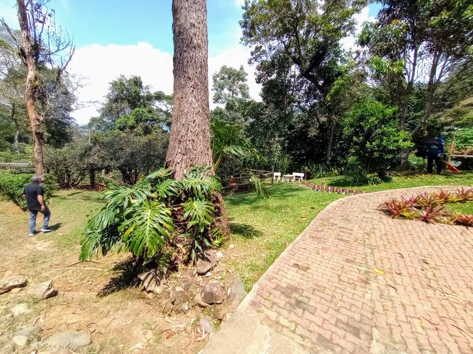 Finca en  Venta en Dapa - Miniatura 26