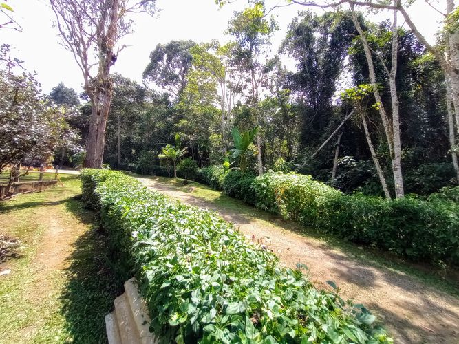 Finca en  Venta en Dapa - Miniatura 27