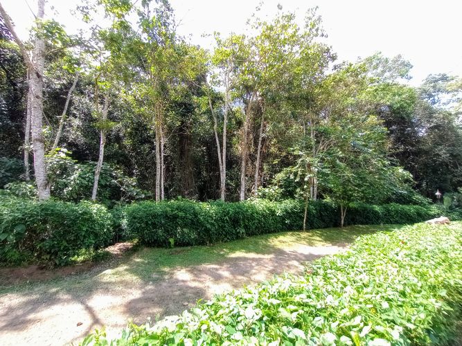 Finca en  Venta en Dapa - Miniatura 28