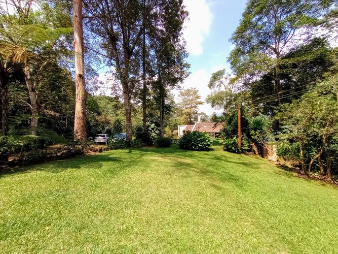 Finca en  Venta en Dapa - Miniatura 29