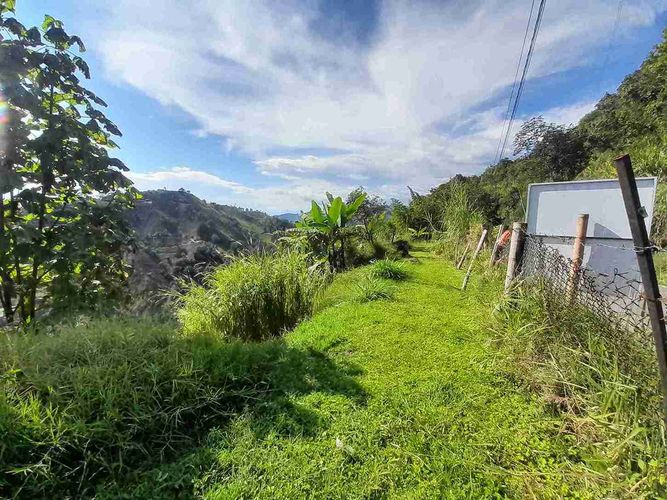 Finca en  Venta en Santa helena, Manizales - Miniatura 15