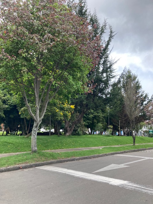 Casa en venta en El recreo de los frailes, Bogotá - Miniatura 16