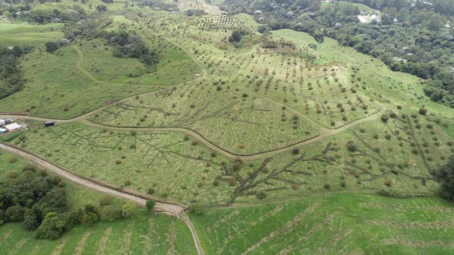 Finca en  Venta en Quindio, Circasia - Miniatura 10