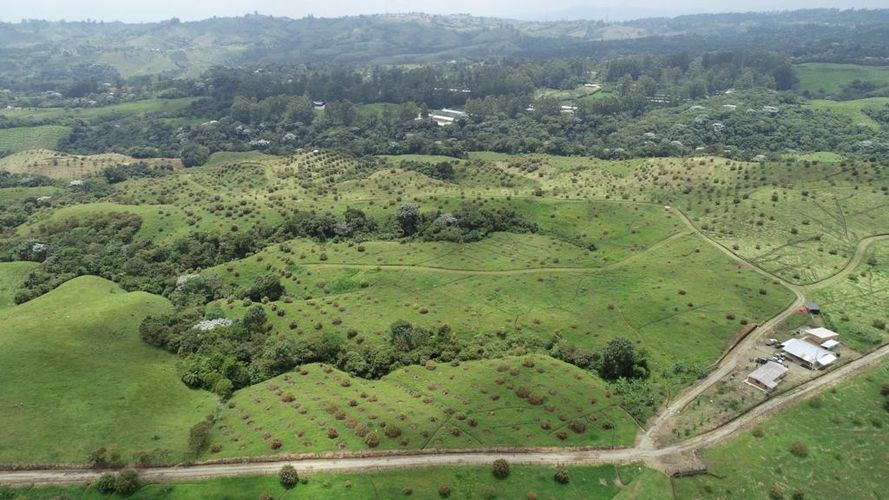 Finca en  Venta en Quindio, Circasia - Miniatura 13