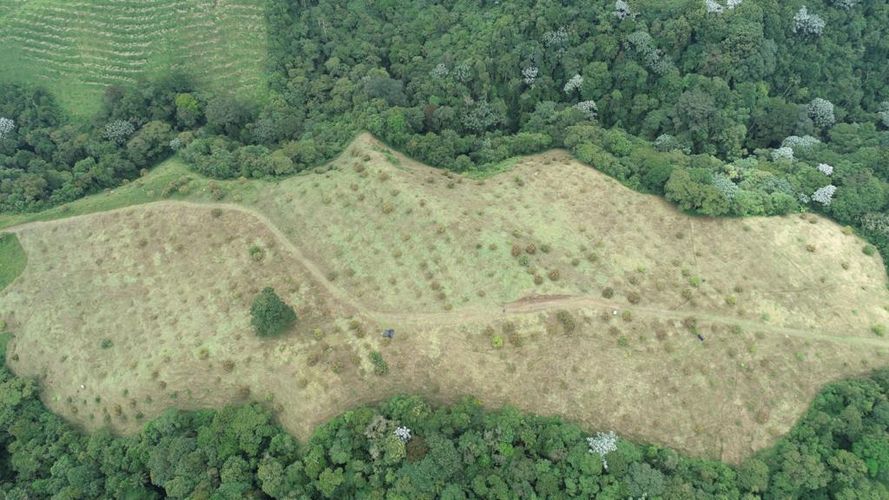 Finca en  Venta en Quindio, Circasia - Miniatura 6