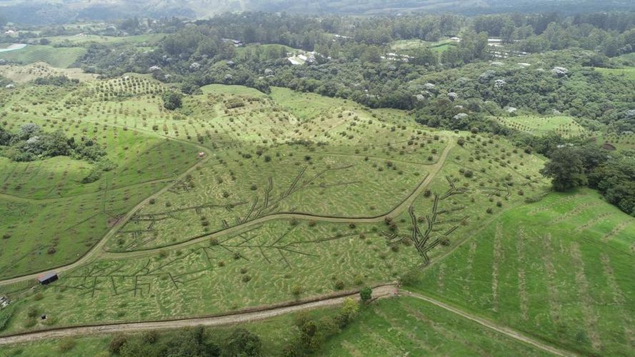 Finca en  Venta en Quindio, Circasia - Miniatura 15