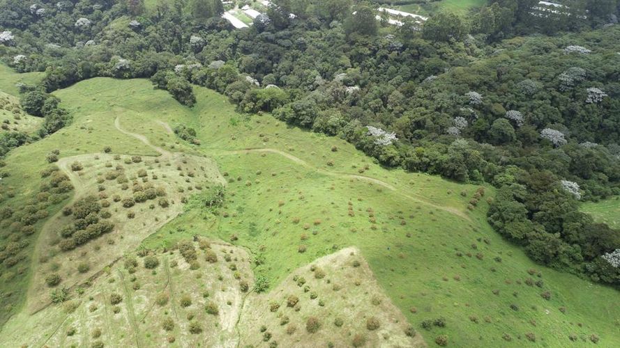 Finca en  Venta en Quindio, Circasia - Imagen 1