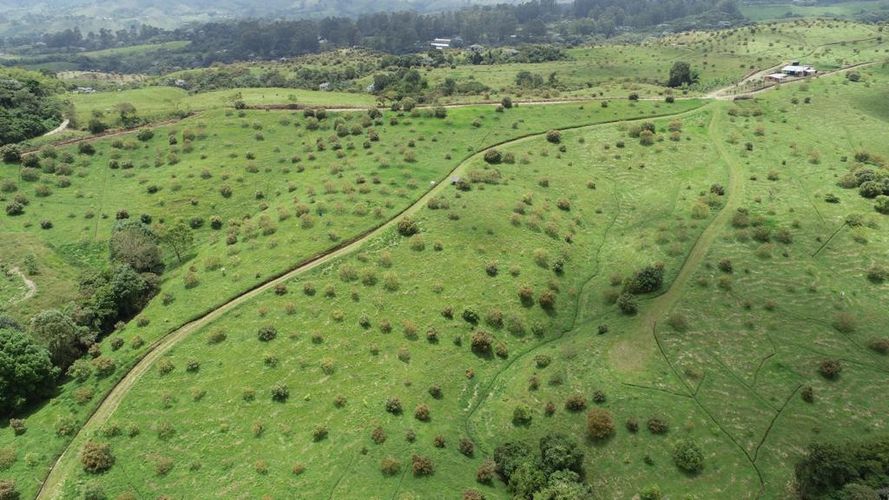 Finca en  Venta en Quindio, Circasia - Miniatura 19