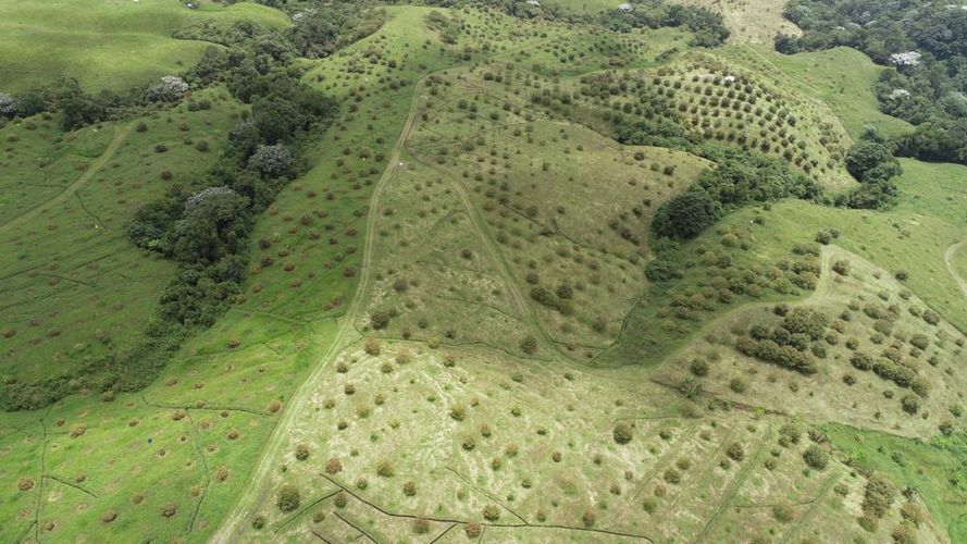 Finca en  Venta en Quindio, Circasia - Miniatura 18