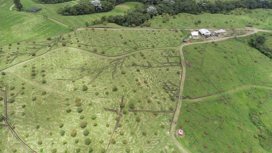 Finca en  Venta en Quindio, Circasia - Miniatura 14