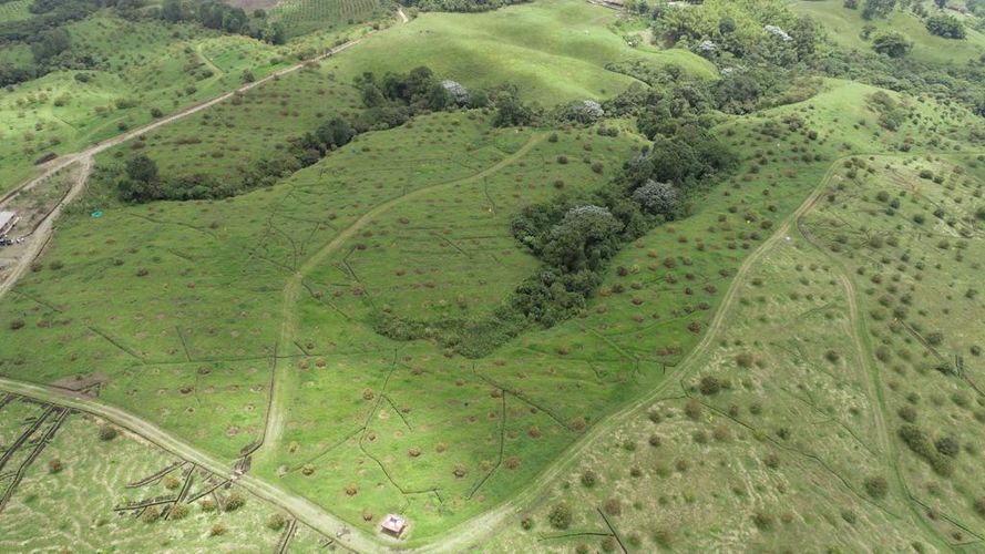 Finca en  Venta en Quindio, Circasia - Miniatura 8