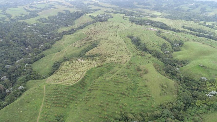Finca en  Venta en Quindio, Circasia - Miniatura 12